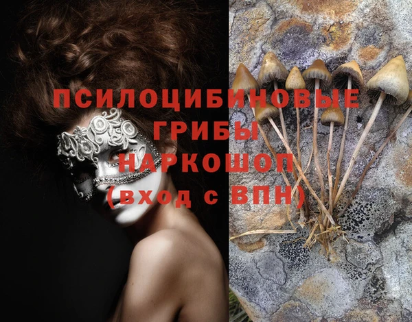 герыч Алзамай