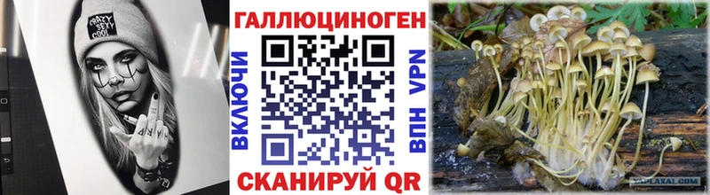 купить   Полевской  Галлюциногенные грибы ЛСД 