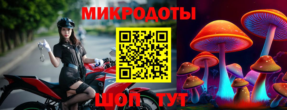 Псилоцибиновые грибы прущие грибы  Галлюциногенные грибы Psilocybine cubensis  Полевской  Вход с VPN 